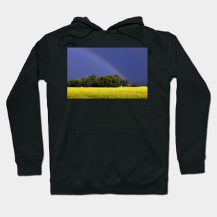 Trees, A Canola Field and a Rainbow Hoodie